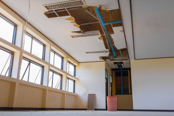 Best Residential water damage restoration  in Clarendon Hls, IL