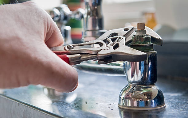 Best Flood damage cleanup  in Clarendon Hls, IL