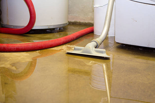 Best Water damage restoration near me  in Clarendon Hls, IL