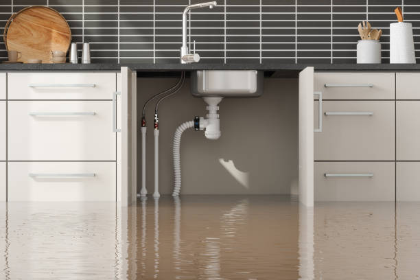 Best Flood damage cleanup  in Clarendon Hls, IL