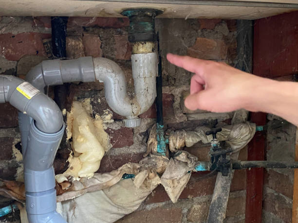 Best Water damage restoration experts  in Clarendon Hls, IL