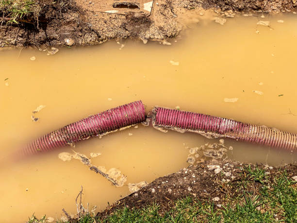 Best Sewage cleanup and water damage restoration  in Clarendon Hls, IL