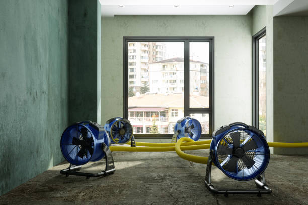 Best Water damage restoration cost  in Clarendon Hls, IL
