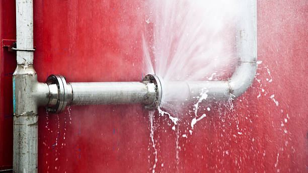 Best Water damage cleanup near me  in Clarendon Hls, IL